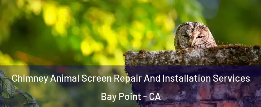  Chimney Animal Screen Repair And Installation Services Bay Point - CA
