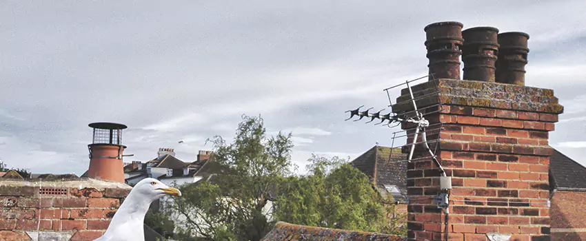 Chimney Cleaning And Restoration in Bay Point, California
